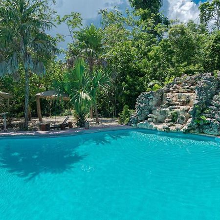 Jolie Jungle Eco Hotel (Adults Only) Leona Vicario Extérieur photo