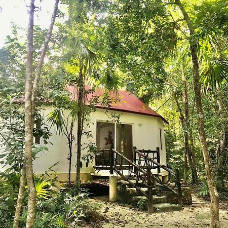 Jolie Jungle Eco Hotel (Adults Only) Leona Vicario Extérieur photo