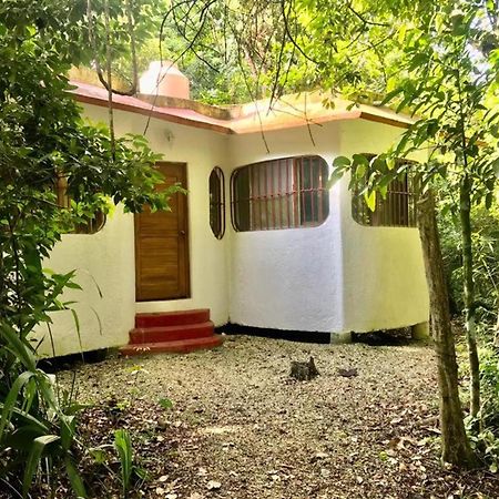 Jolie Jungle Eco Hotel (Adults Only) Leona Vicario Extérieur photo