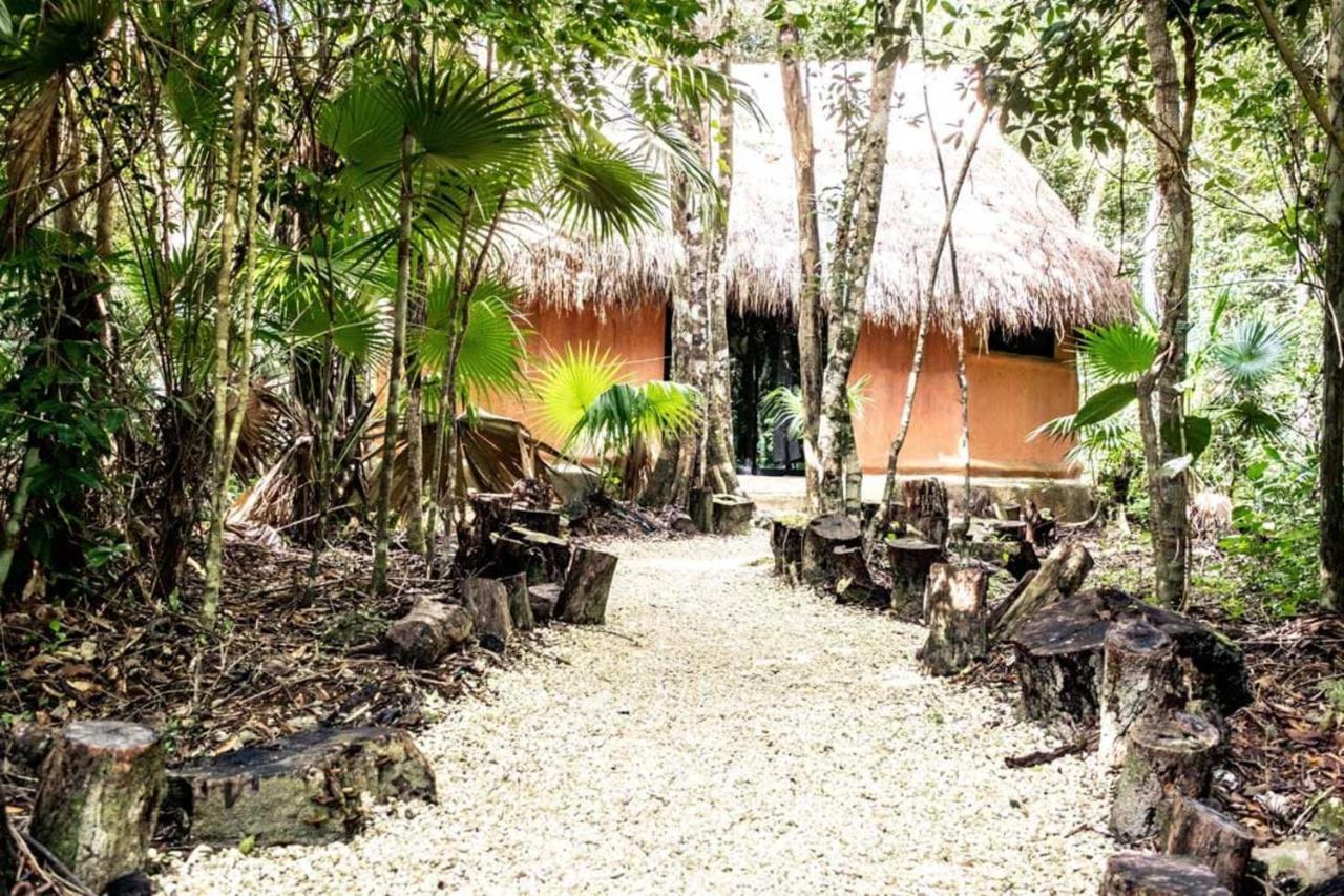 Jolie Jungle Eco Hotel (Adults Only) Leona Vicario Extérieur photo