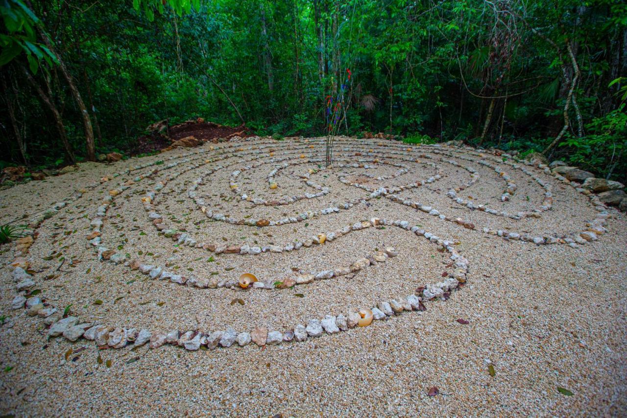Jolie Jungle Eco Hotel (Adults Only) Leona Vicario Extérieur photo
