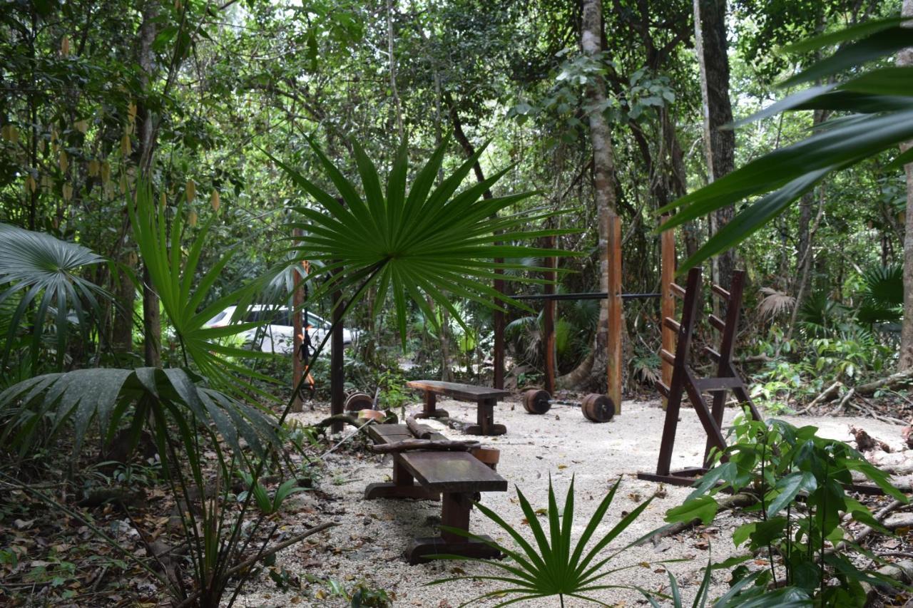 Jolie Jungle Eco Hotel (Adults Only) Leona Vicario Extérieur photo