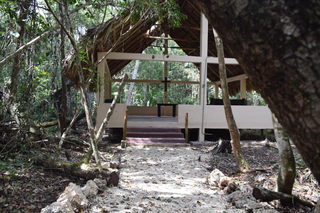 Jolie Jungle Eco Hotel (Adults Only) Leona Vicario Extérieur photo