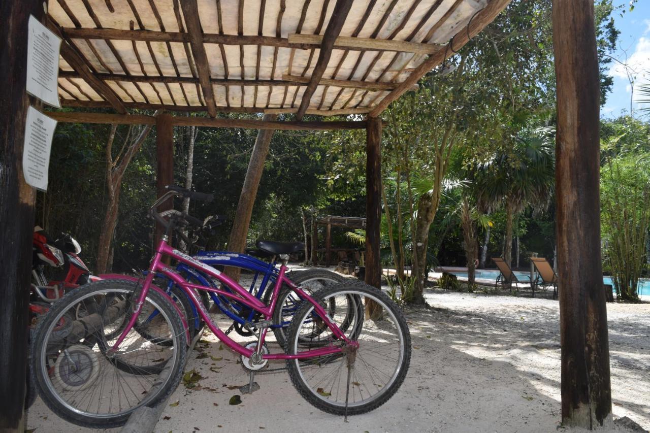 Jolie Jungle Eco Hotel (Adults Only) Leona Vicario Extérieur photo