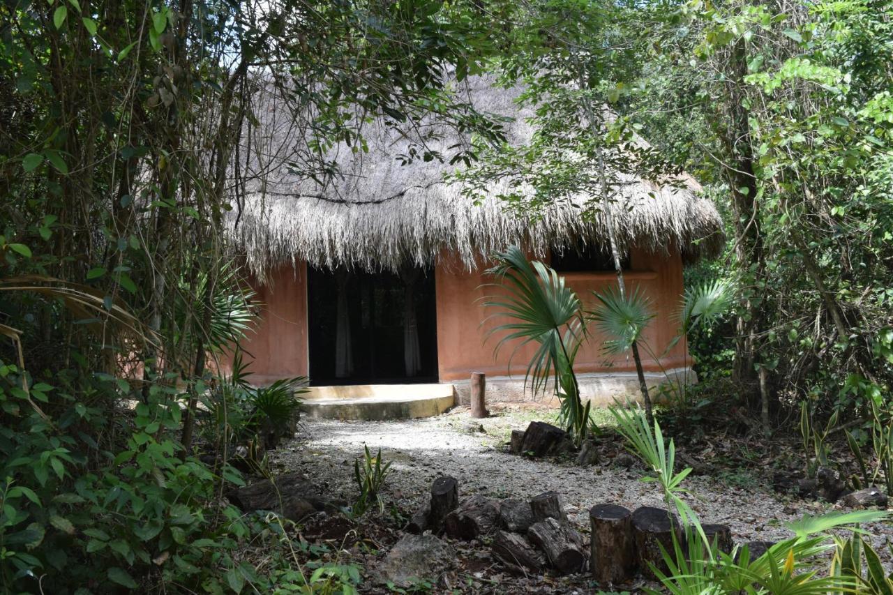 Jolie Jungle Eco Hotel (Adults Only) Leona Vicario Extérieur photo