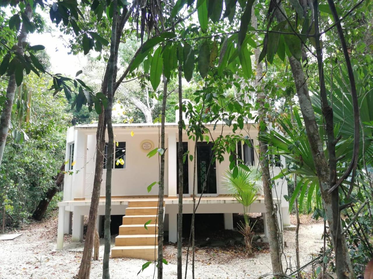 Jolie Jungle Eco Hotel (Adults Only) Leona Vicario Extérieur photo