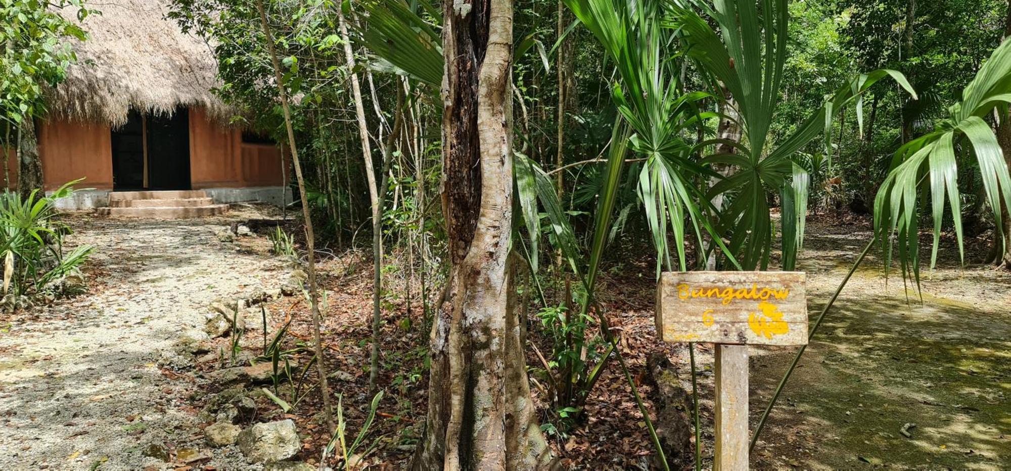 Jolie Jungle Eco Hotel (Adults Only) Leona Vicario Extérieur photo