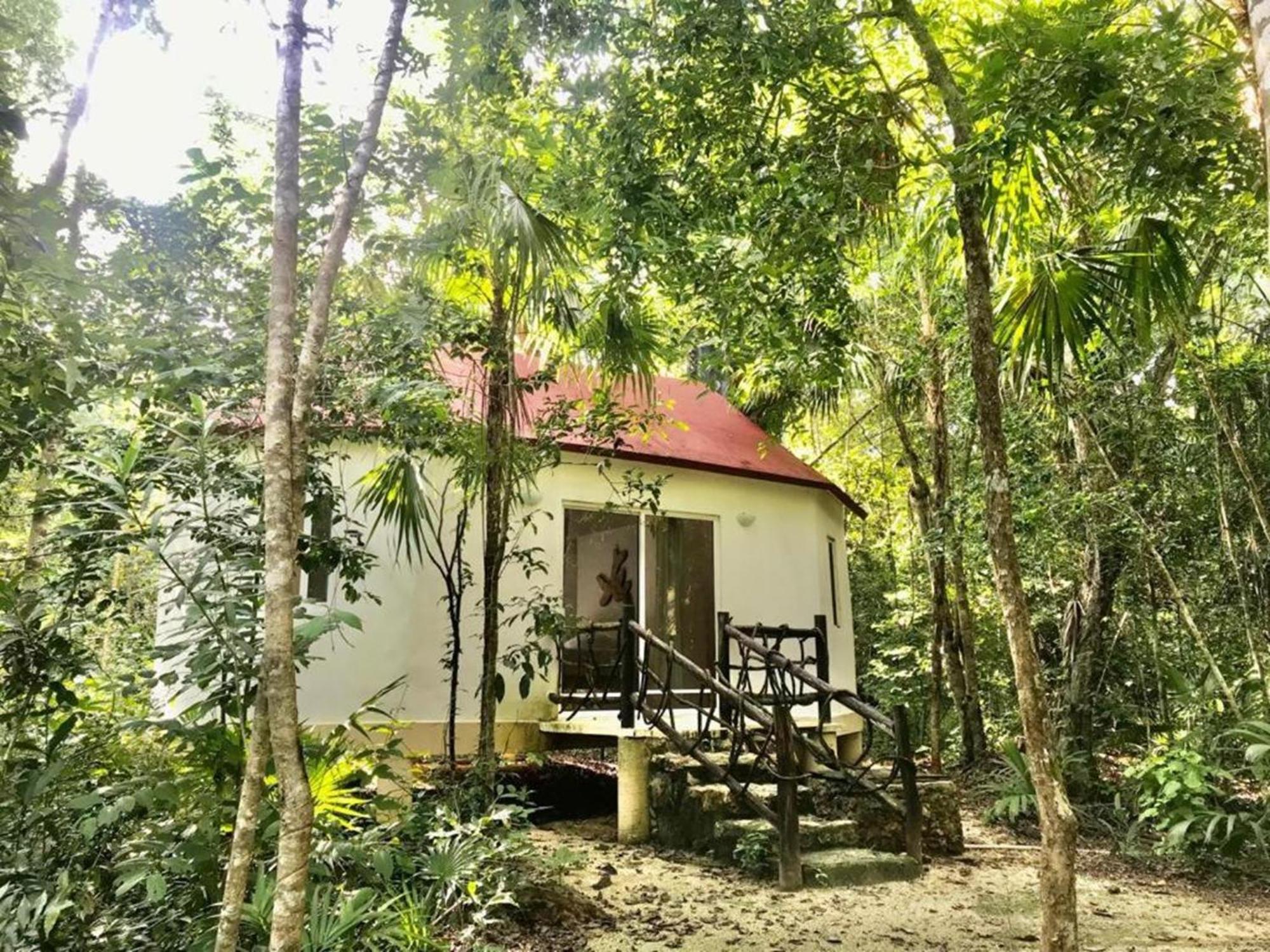 Jolie Jungle Eco Hotel (Adults Only) Leona Vicario Extérieur photo