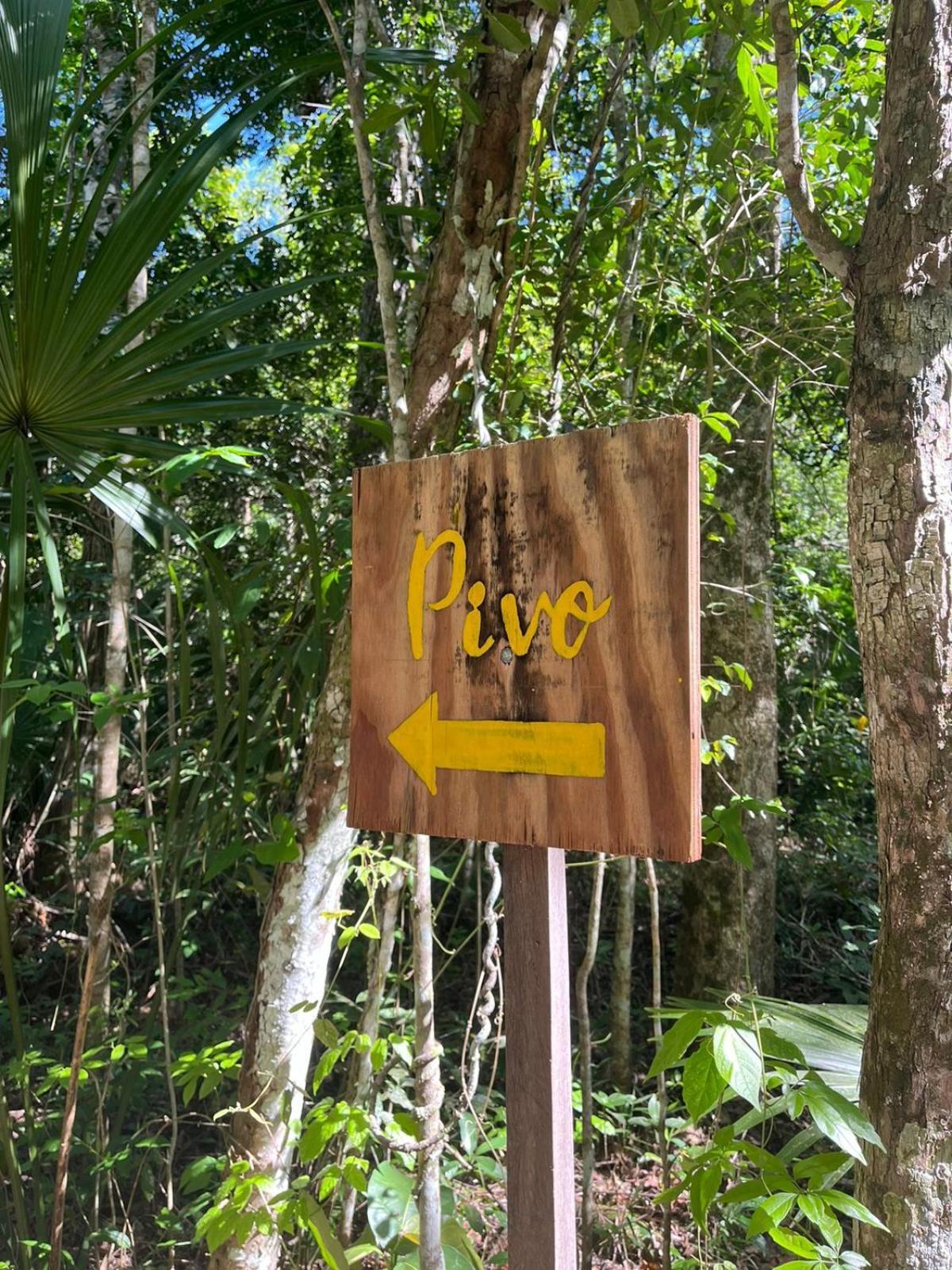 Jolie Jungle Eco Hotel (Adults Only) Leona Vicario Chambre photo