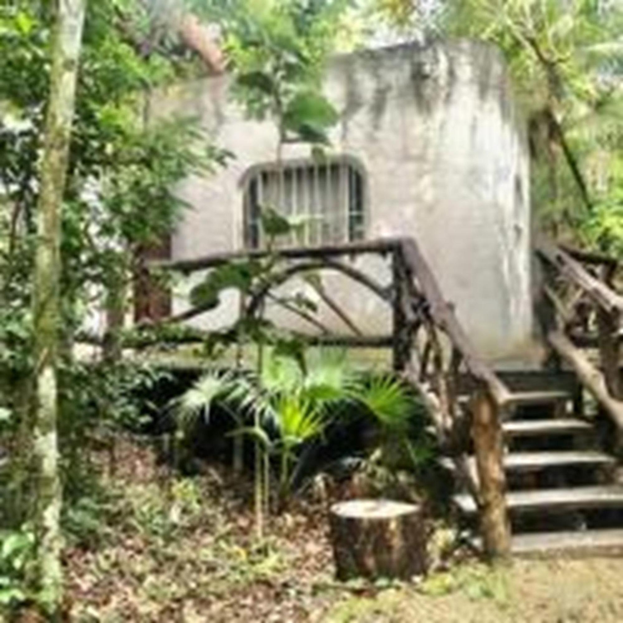 Jolie Jungle Eco Hotel (Adults Only) Leona Vicario Extérieur photo