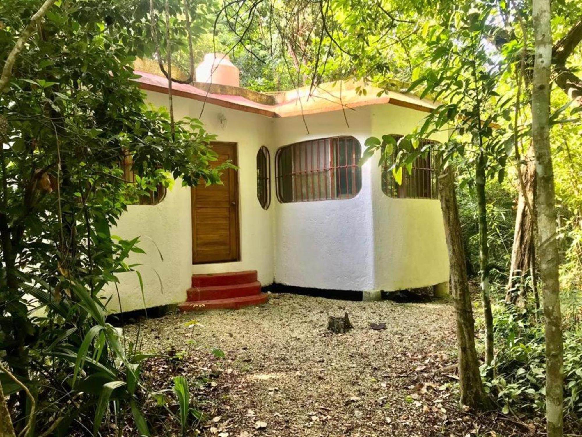 Jolie Jungle Eco Hotel (Adults Only) Leona Vicario Extérieur photo