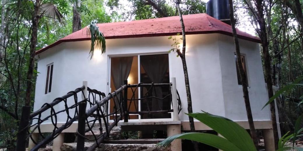 Jolie Jungle Eco Hotel (Adults Only) Leona Vicario Extérieur photo